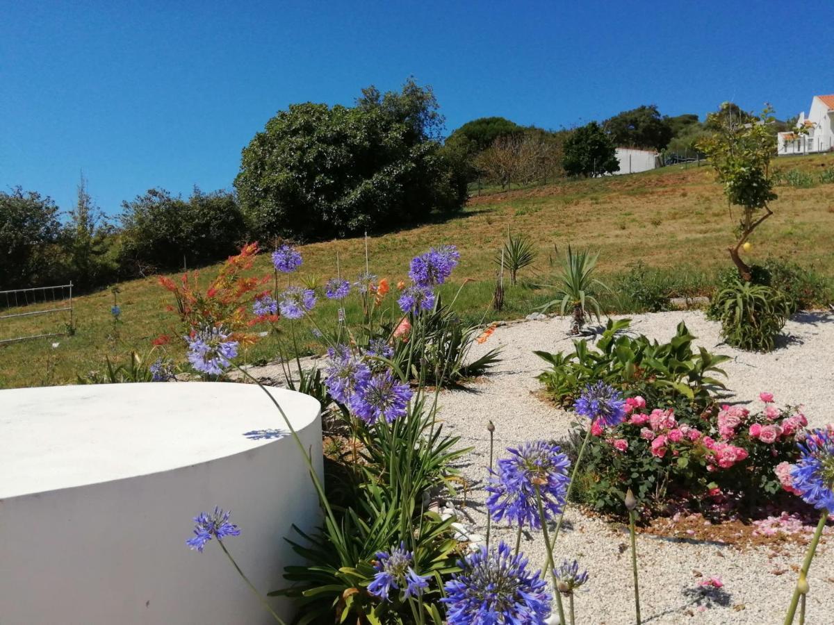 Bb Silvercoast Casa Das Flores Santa Catarina  Eksteriør billede