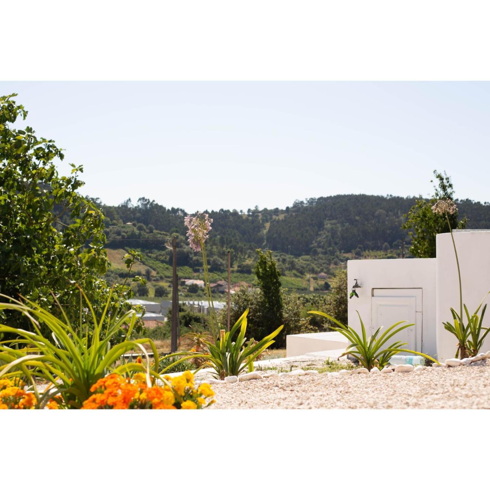 Bb Silvercoast Casa Das Flores Santa Catarina  Eksteriør billede