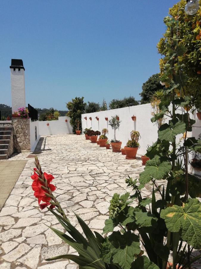 Bb Silvercoast Casa Das Flores Santa Catarina  Eksteriør billede