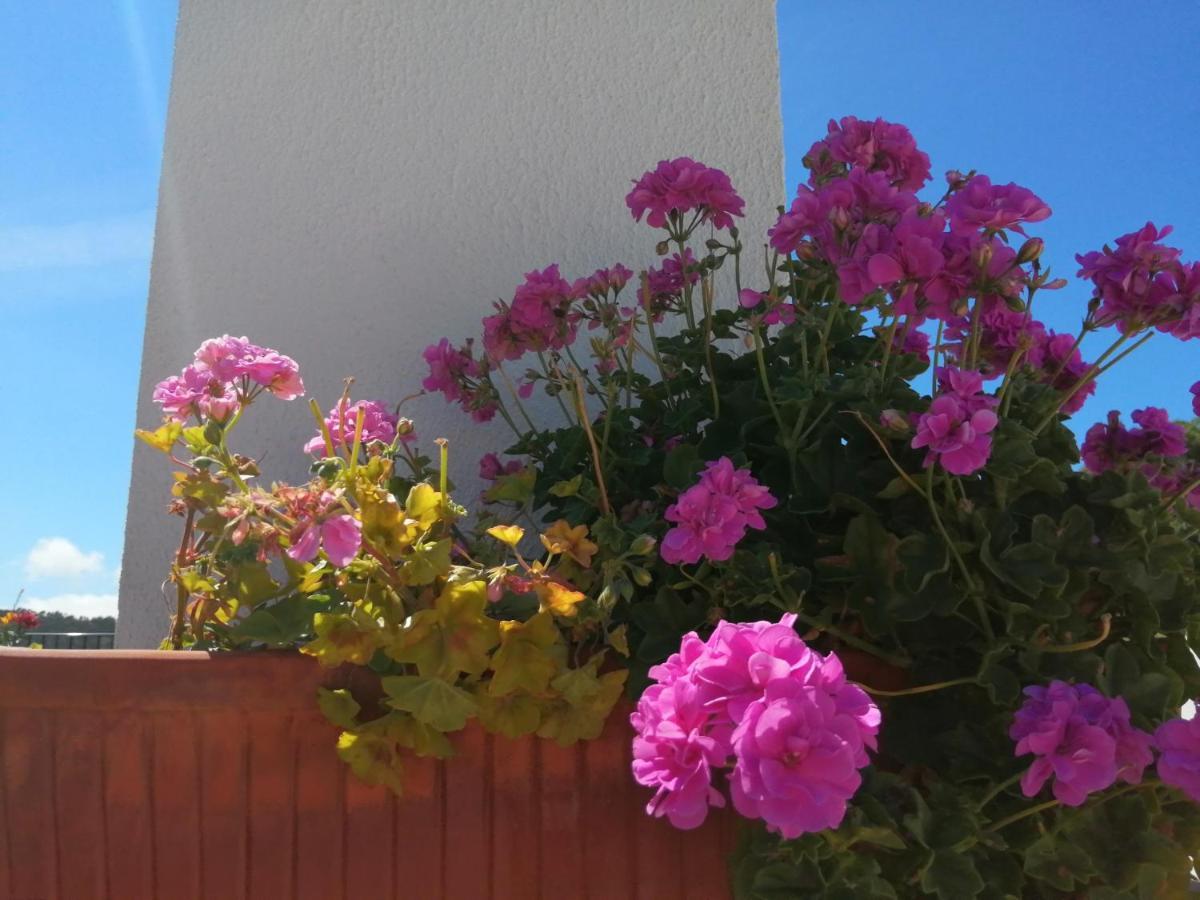 Bb Silvercoast Casa Das Flores Santa Catarina  Eksteriør billede