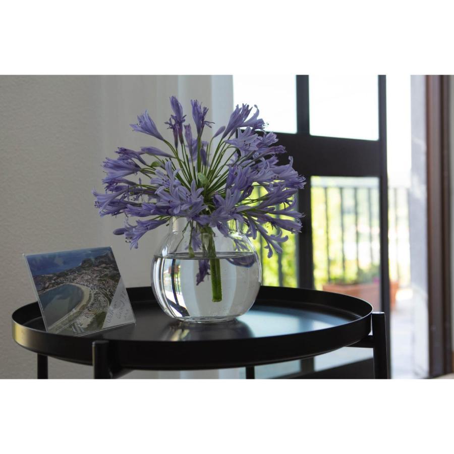 Bb Silvercoast Casa Das Flores Santa Catarina  Eksteriør billede